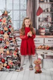 Vánoční focení v MŠ